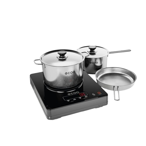 Clean Cooking Solutions